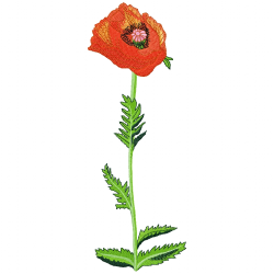 Flowers Embroidery Design 2